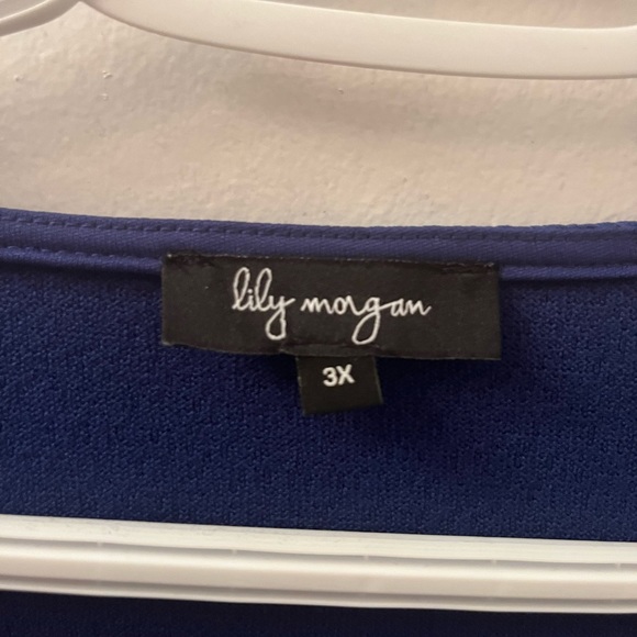 🔥 BNWT lily morgan Size: 3X peak-a-boo Long-sleeve Top 🔥 - Picture 3 of 3